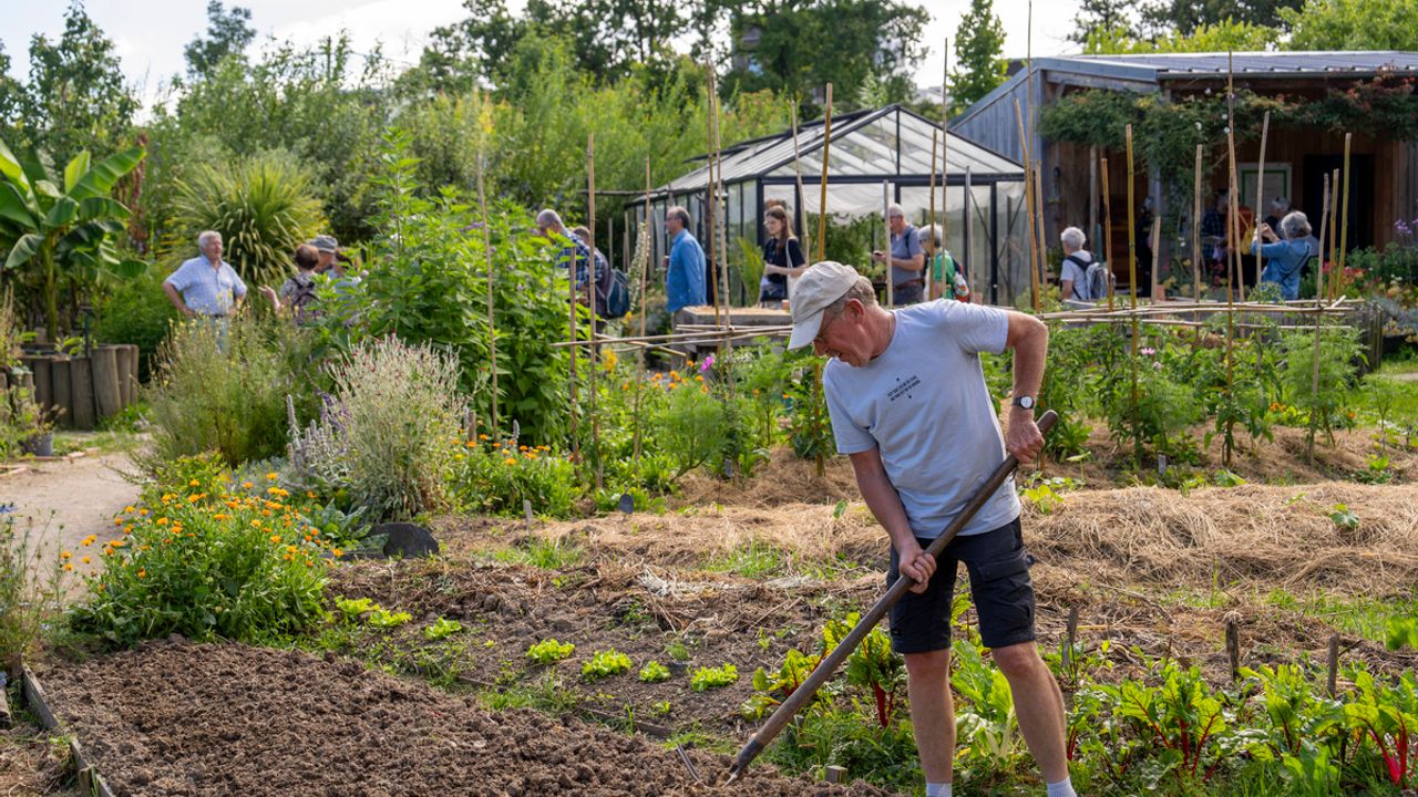 Une personne jardine au Gaec.