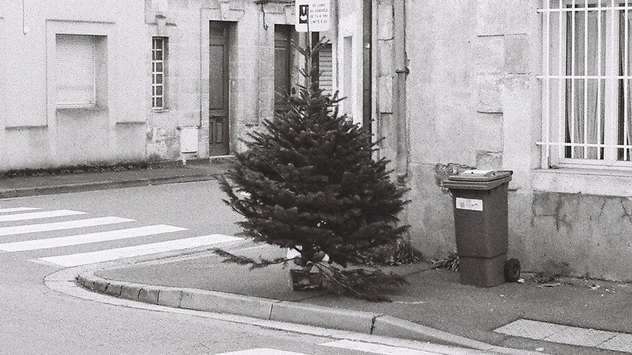 Le Poireaux