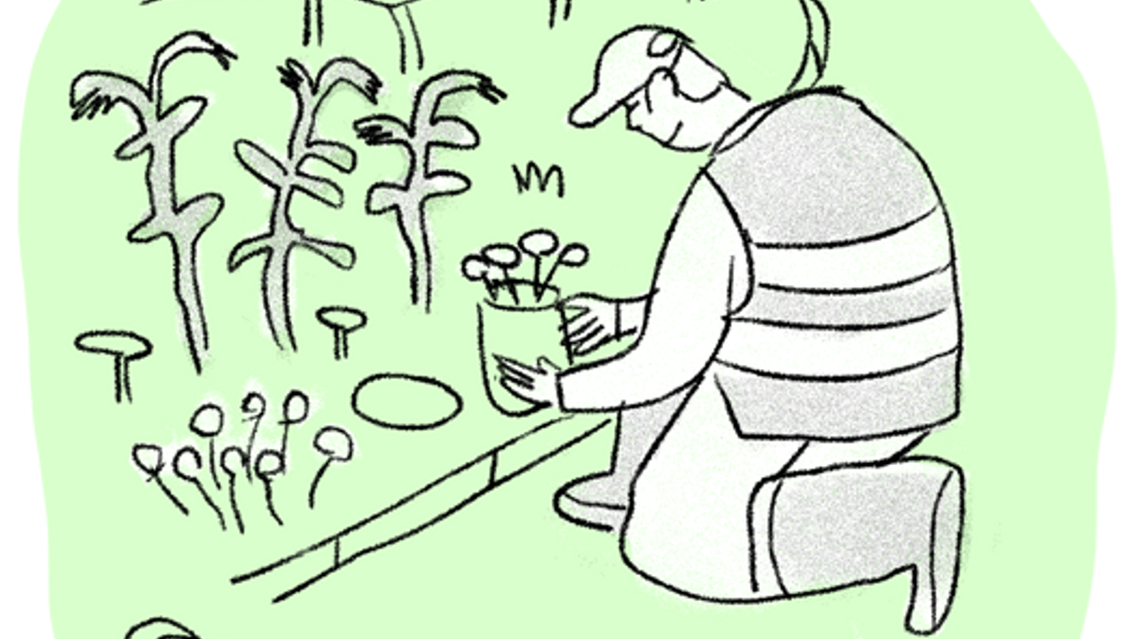 Dessin, jardinier qui fait des plantations.