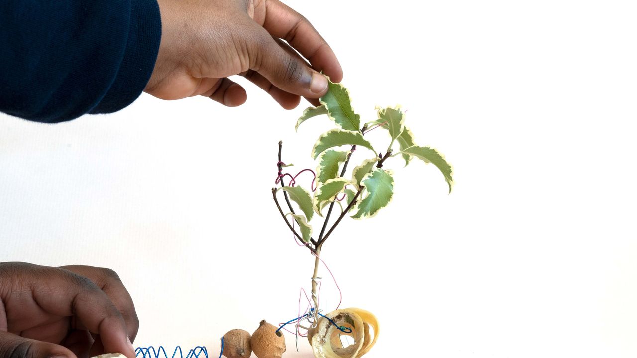 Photo de mains d'enfant qui disposent une sculpture composée d'éléments de la nature et de fils métalliques colorés sur un papier rosé.