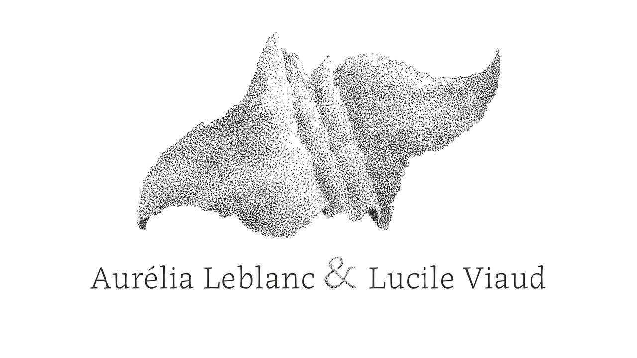 Aurélia Leblanc & Lucile Viaud
