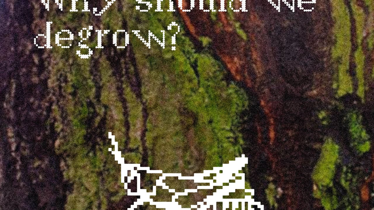 Why should we degrow?