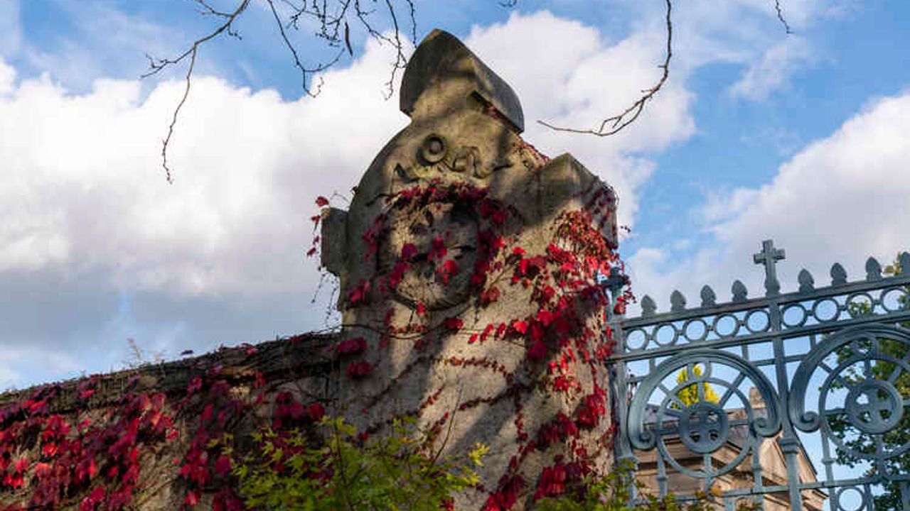 Vue sur l'entrée d'un cimétière en partie recouverte par des plantes grimpantes vertes et rouges.