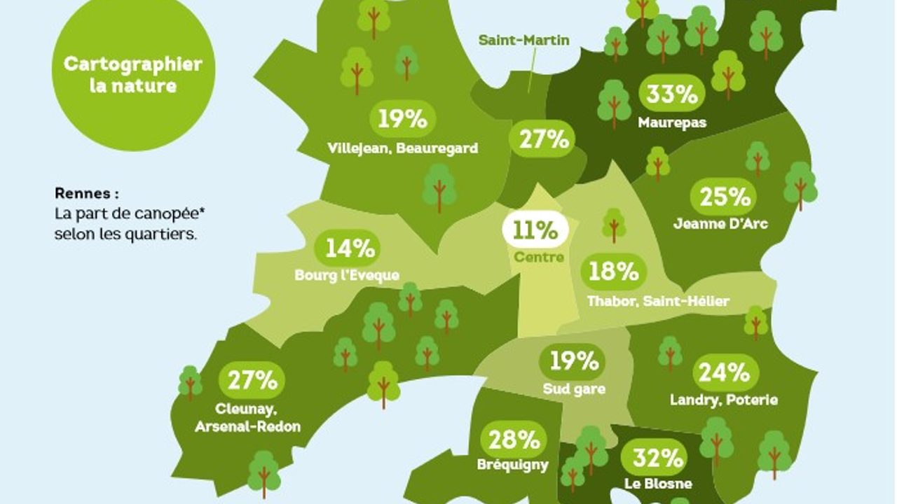 Schéma montrant la part de canopée (surface de feuilles exposée au soleil) selon les quartiers : 19% à Villejean, 27% à Saint Martin, 33% à Maurepas, 14% à Bourg L'évêque, 11% au centre, 18% à Thabor Saint Hélier, 25% à Jeanne d'arc, 27% à Cleunay-Arsenal Redon, 19% à sud gare, 24% à Landry Poterie, 28% à Bréquigny, 32% au Blosne.