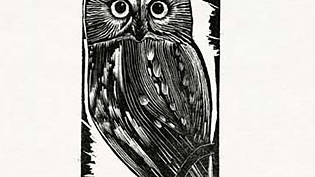 Gravure de hibou de John Steins