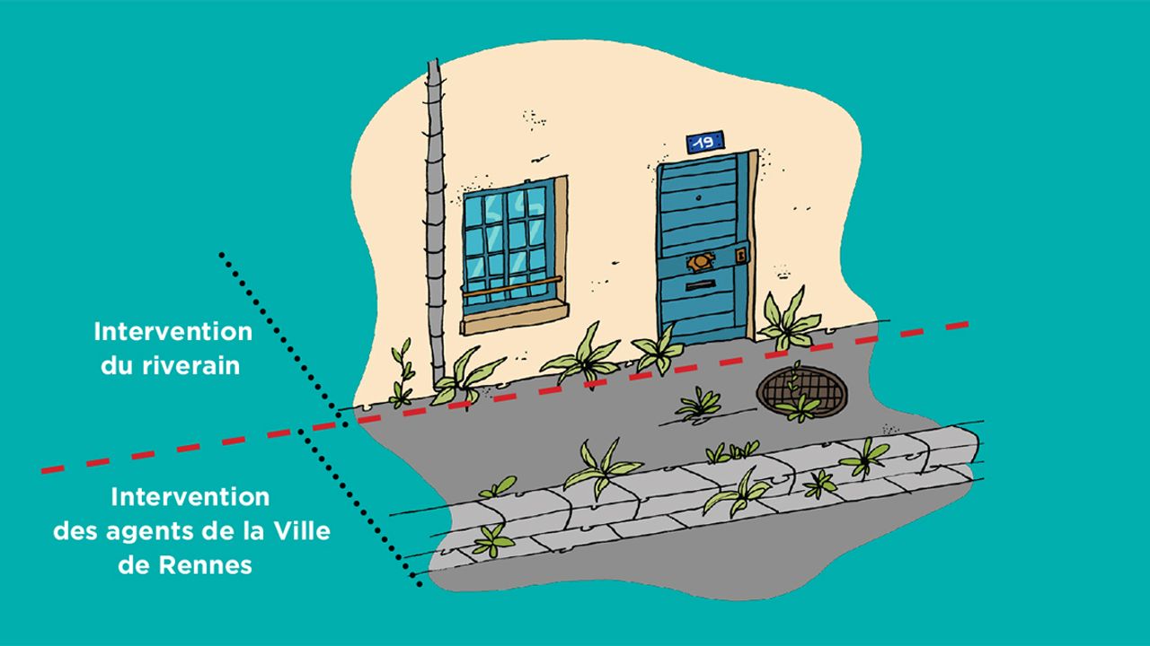 Schéma qui délimite l'intervention du riverain (près du mur de la maison) et l'intervention des agents de la Ville de Rennes (le trottoir)