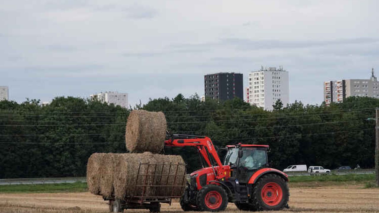 Un tracteur ramasse des ballots de paille dans un champ proche de la rocade. 