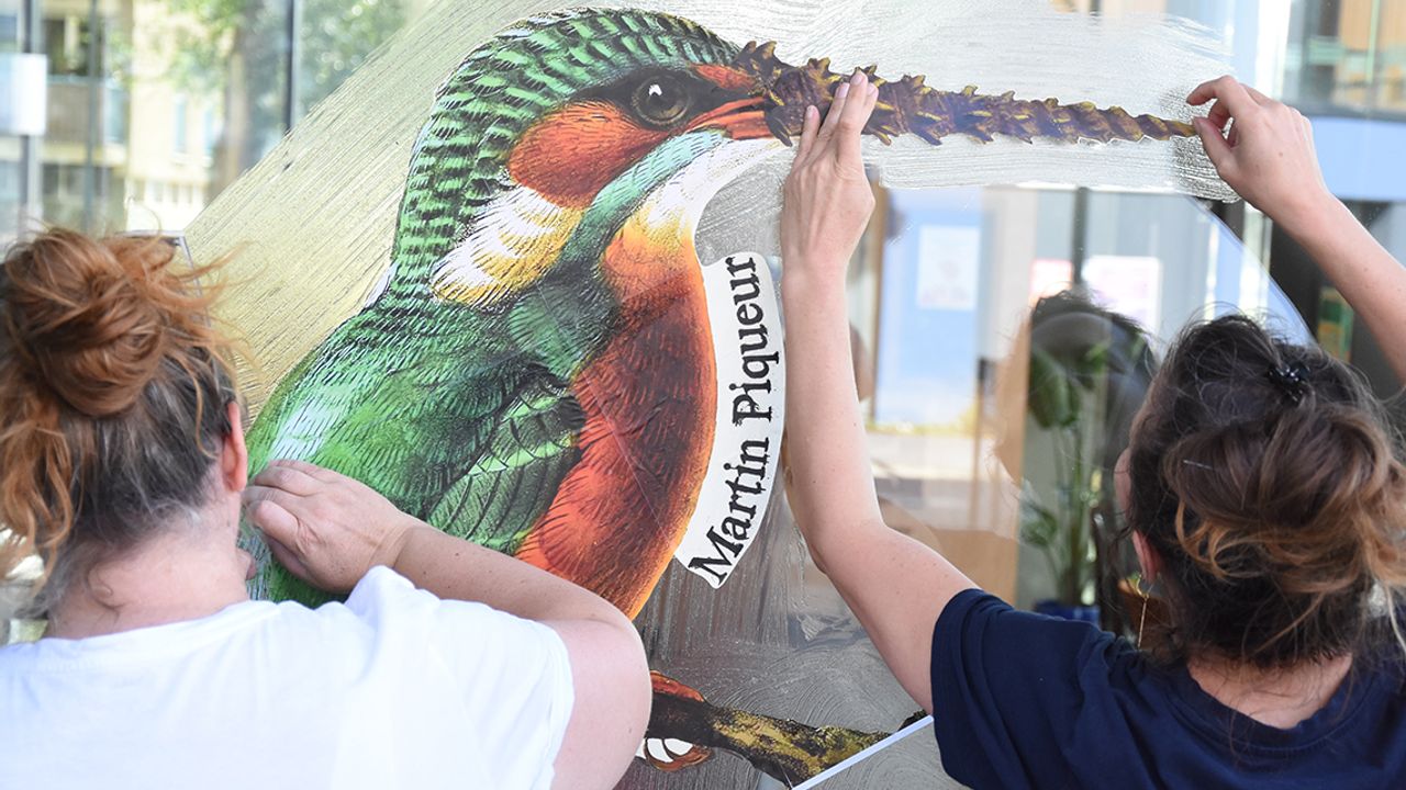 Deux personnes collent un chimère en papier sur une vitrine représentant un martin piqueur