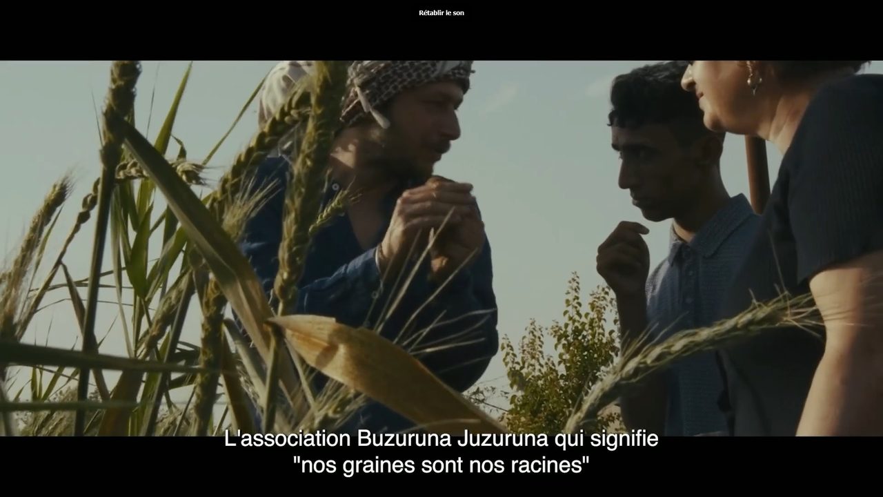 Extrait de film