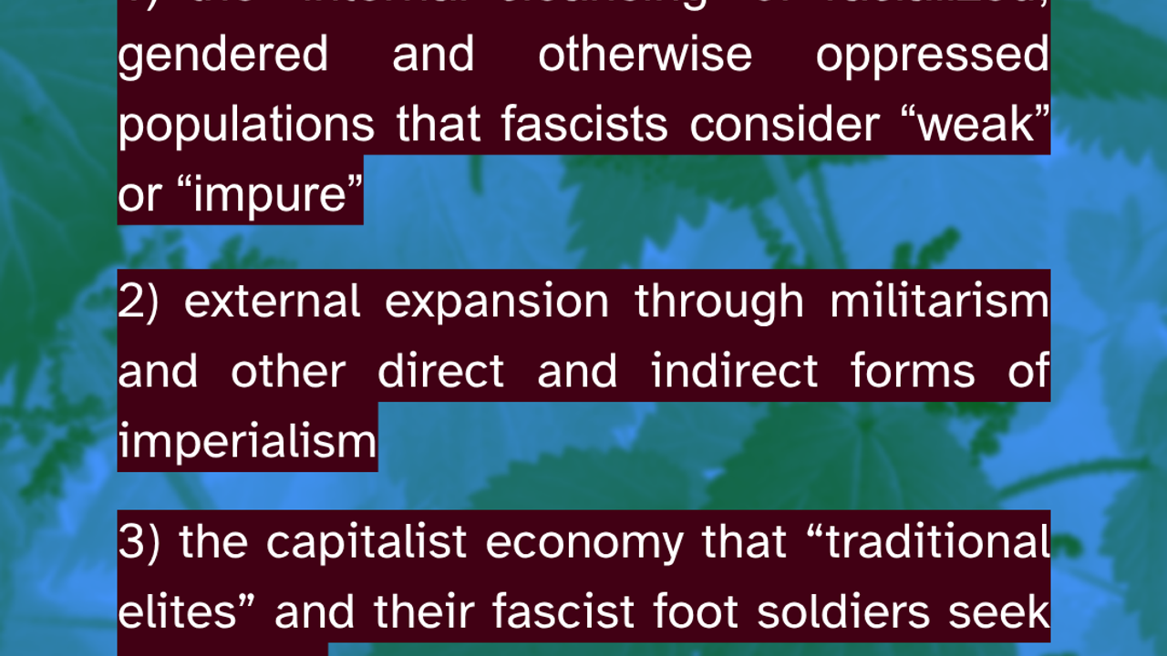 Anti-fascism thus entails combined opposition to:  1) the “internal cleansing” of racialized, gendered and otherwise oppressed populations that fascists consider “weak” or “impure”. 2) external expansion through militarism and other direct and indirect forms of imperialism. 3) the capitalist economy that “traditional elites” and their fascist foot soldiers seek to defend. Source: Pratik Raghu