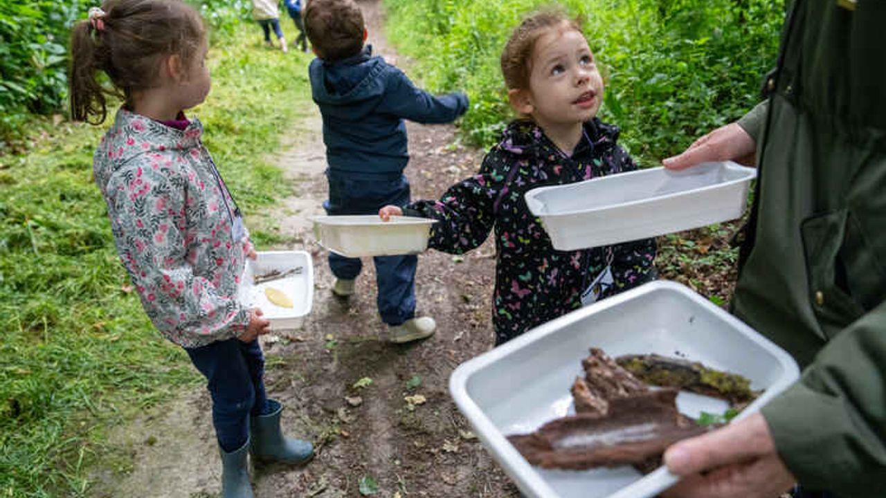 Des enfants ramassent des bouts de bois dans des boîtes.