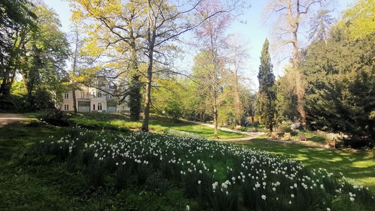 Vue du parc des Tanneurs