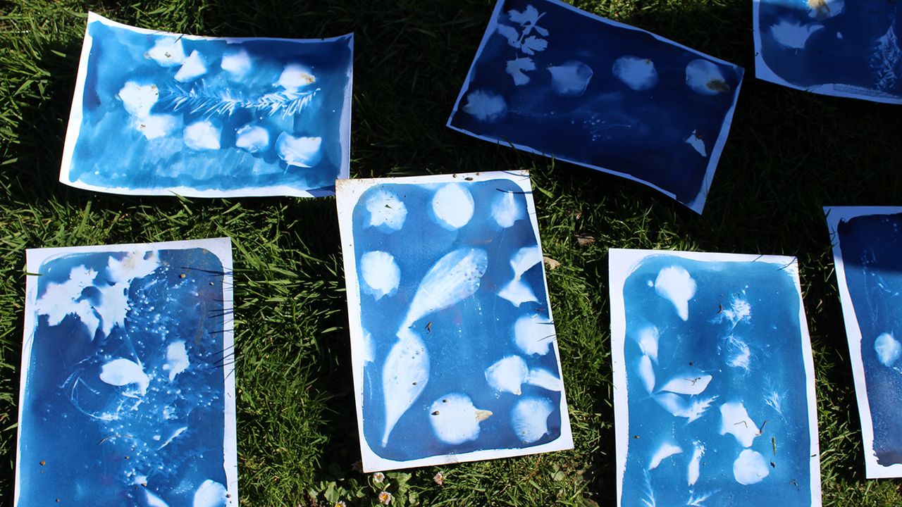 Photo des cyanotypes bleus des enfants posés sur la pelouse.