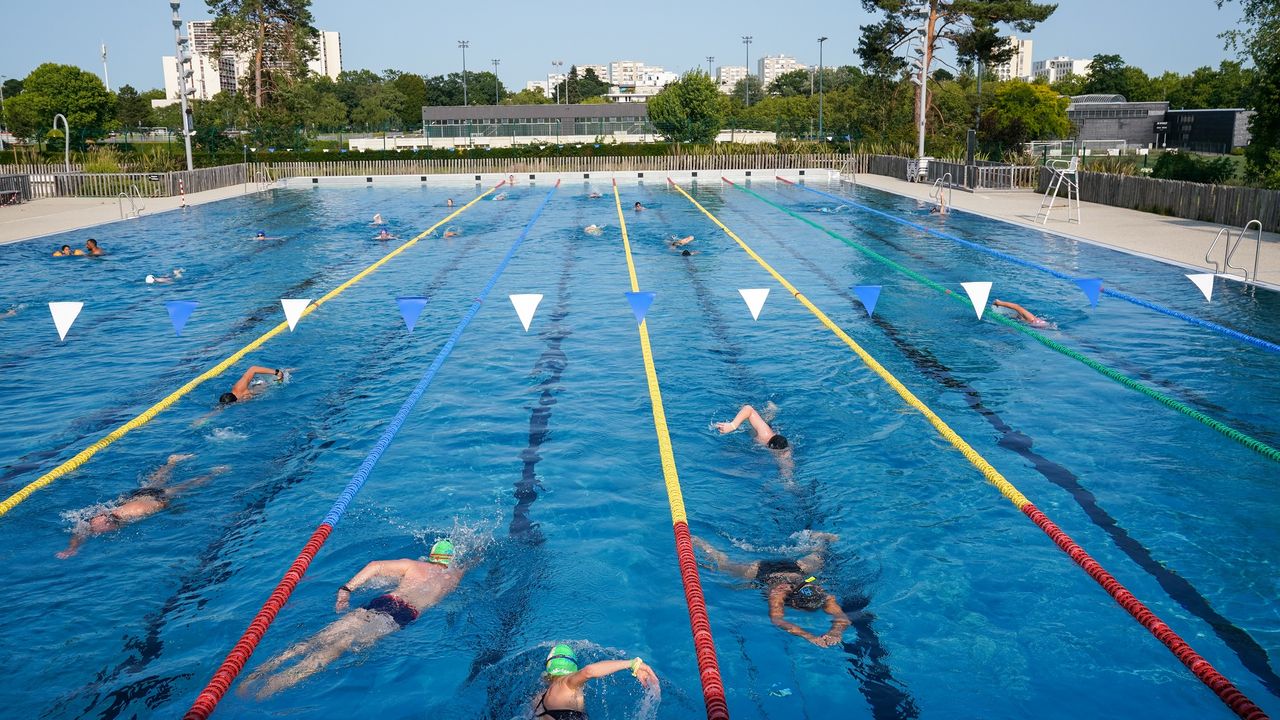 Des nageurs dans les couloirs d’une piscine.