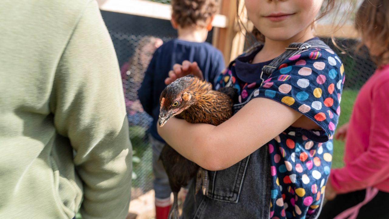 Une fille prend dans ses bras une poule