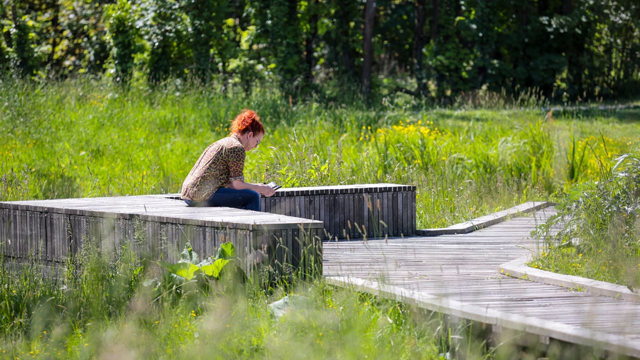 Une personne lit sur un banc aux prairies Saint-Martin, à Rennes.