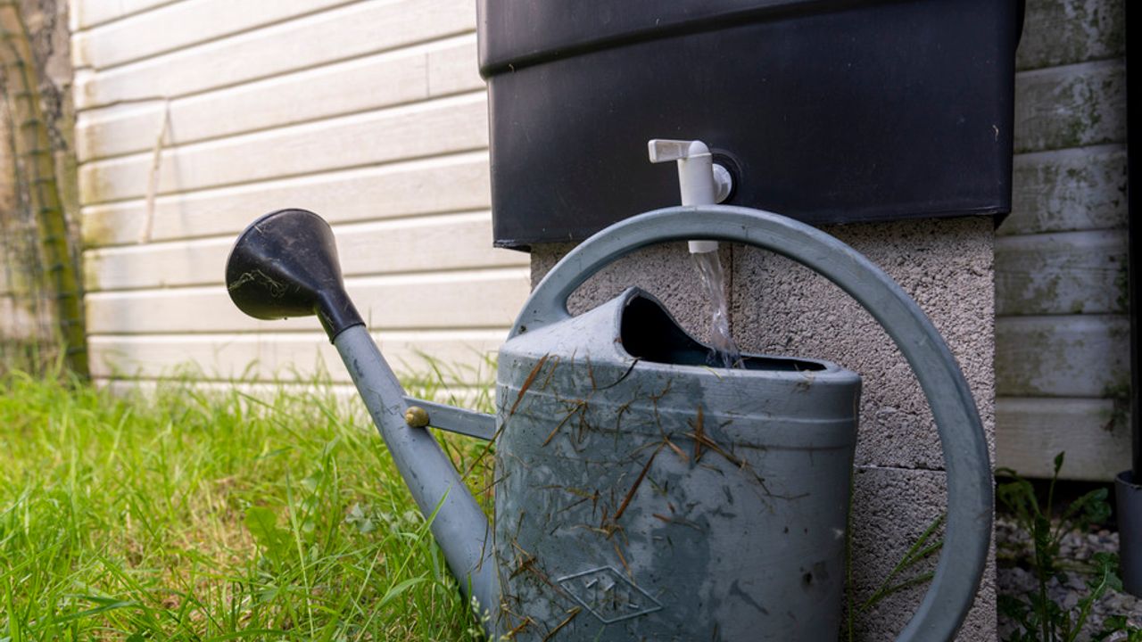 gros plan sur un arrosoir dans lequel de l'eau d'un récupérateur est versée.