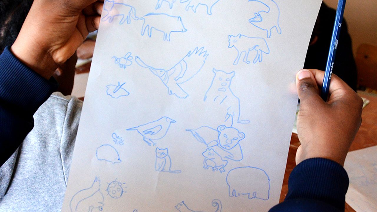 Une enfant montre les dessins décalqués sur sa feuille. On y voit une multitude d'animaux.