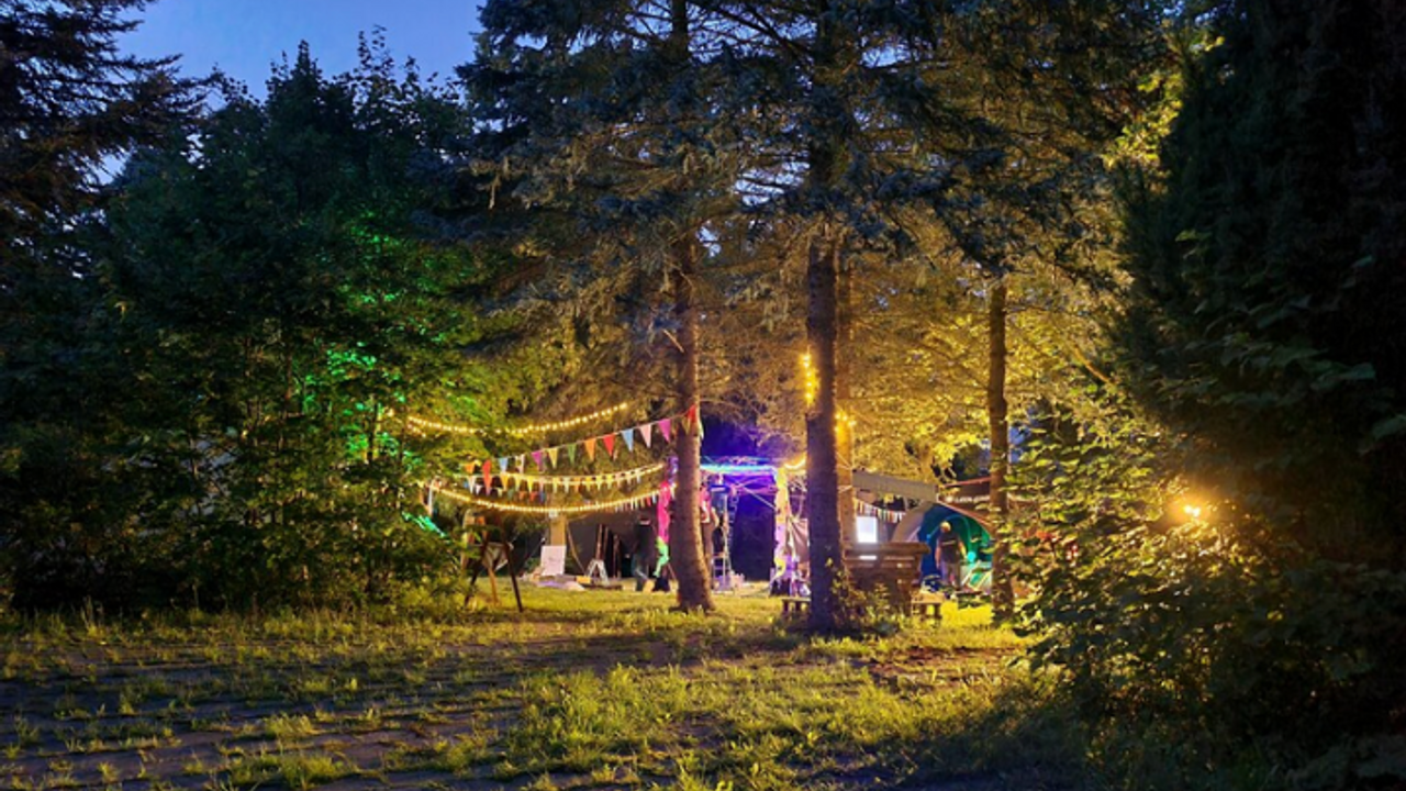 Forest at dawn, with bunting and fairy lights tied between trees