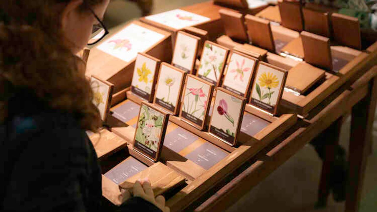 Jeune fille qui regarde des planches de fleurs 