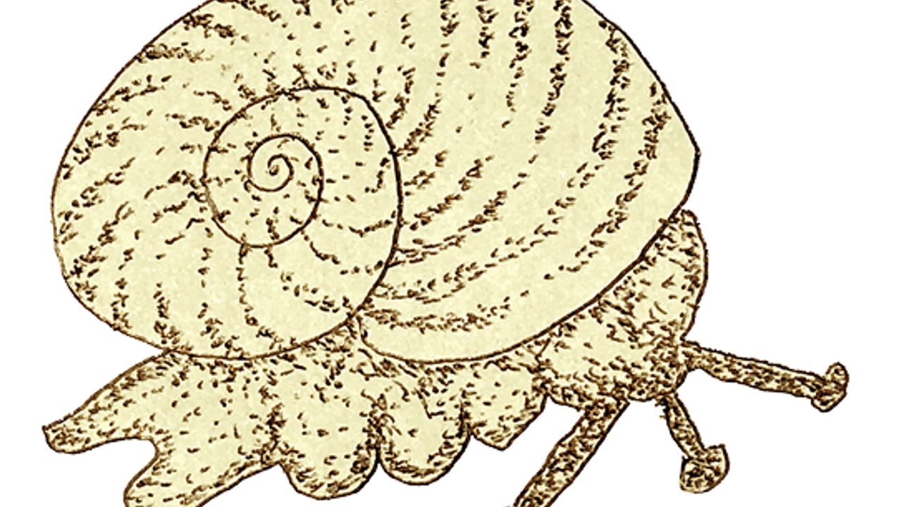 Degrowth Central Victoria