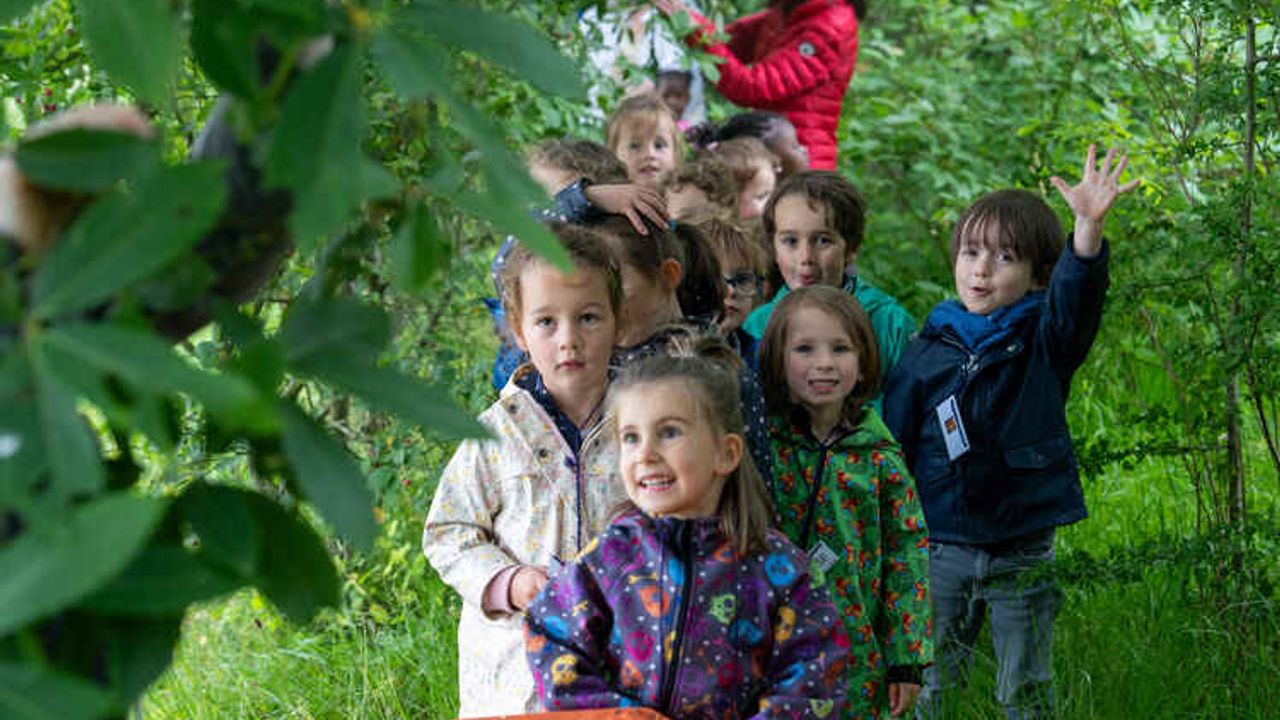 Des enfants avancent dans un sentier boisé