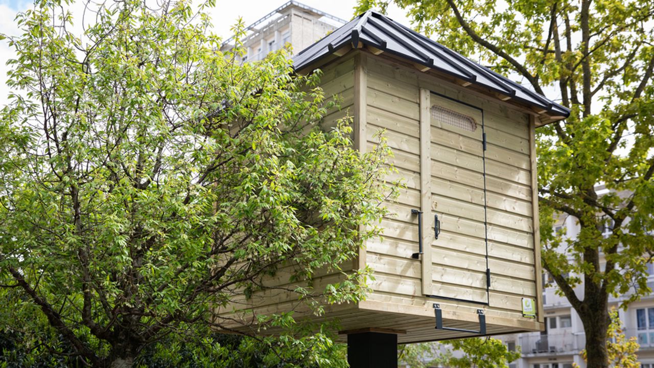 Une cabane en bois dans les hauteurs pour un pigeonnier