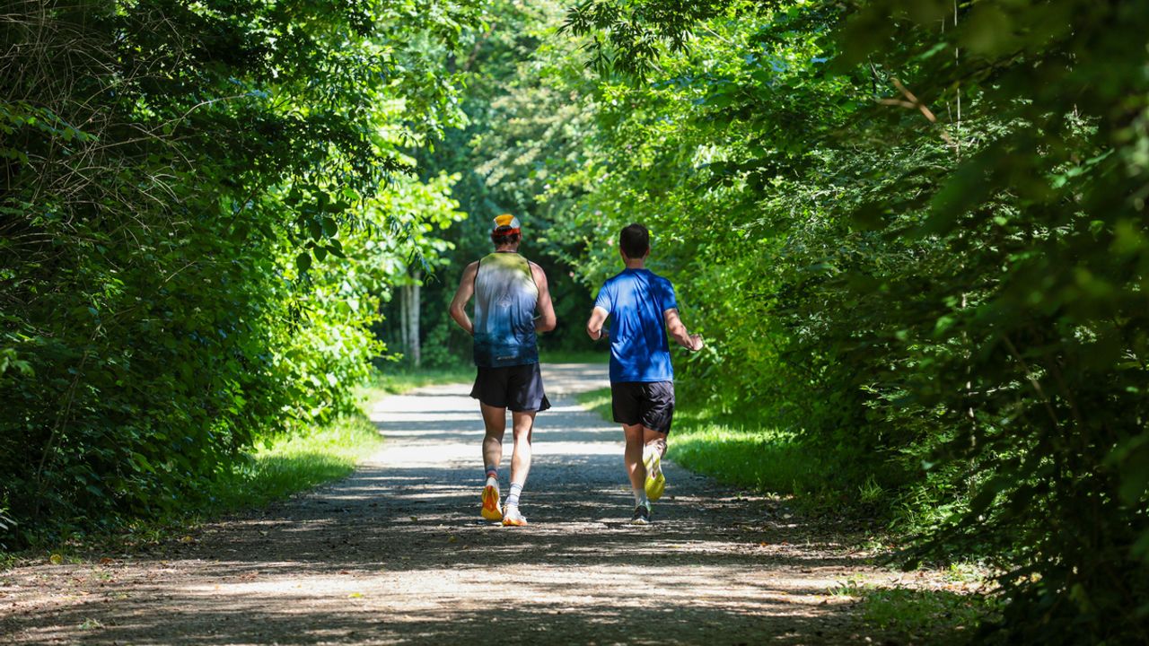 Deux personnes courent dans une allée des prairies Saint-Martin, à Rennes.