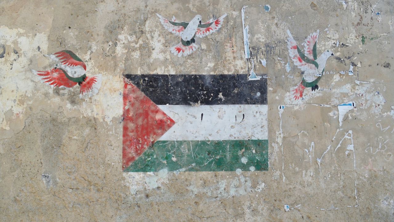Palestine flag with doves visible