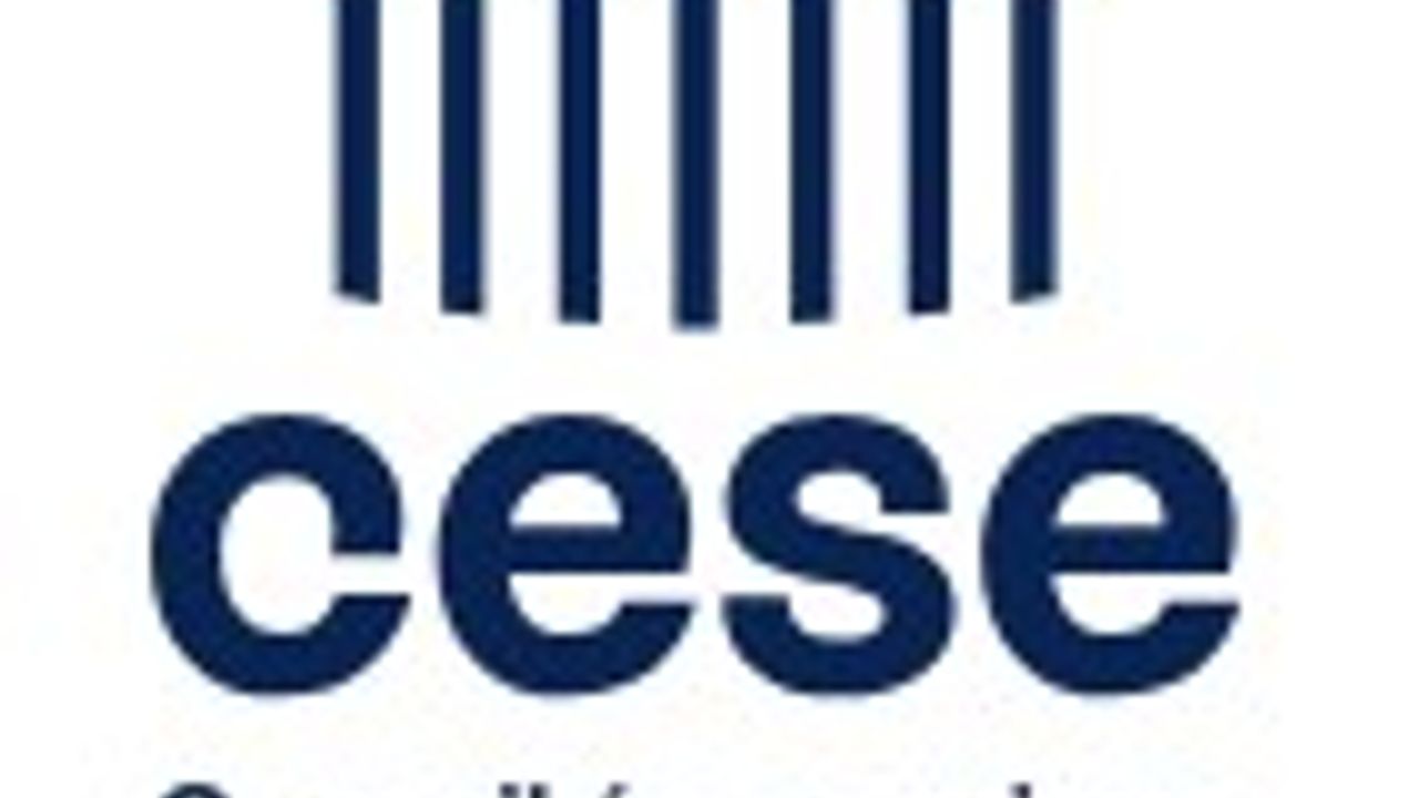 Conseil économique social environnemental (Cese)