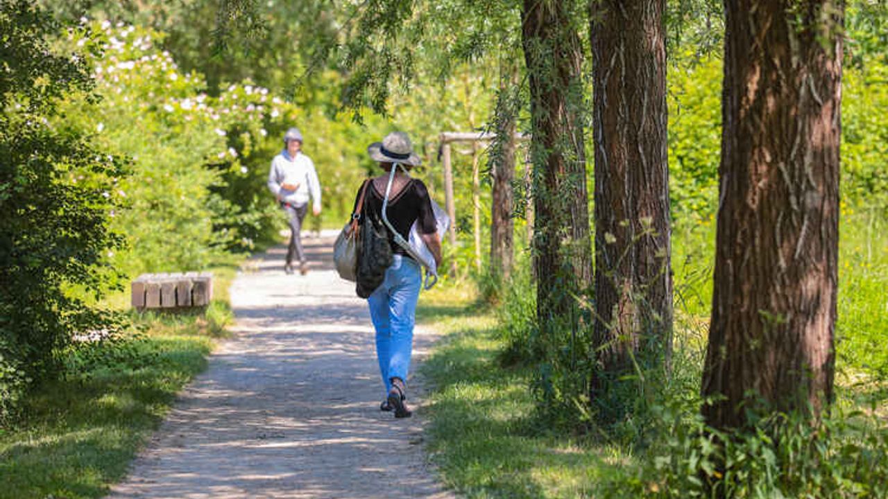 une personne se promène sur un chemin de halage verdoyant aux prairies saint martin